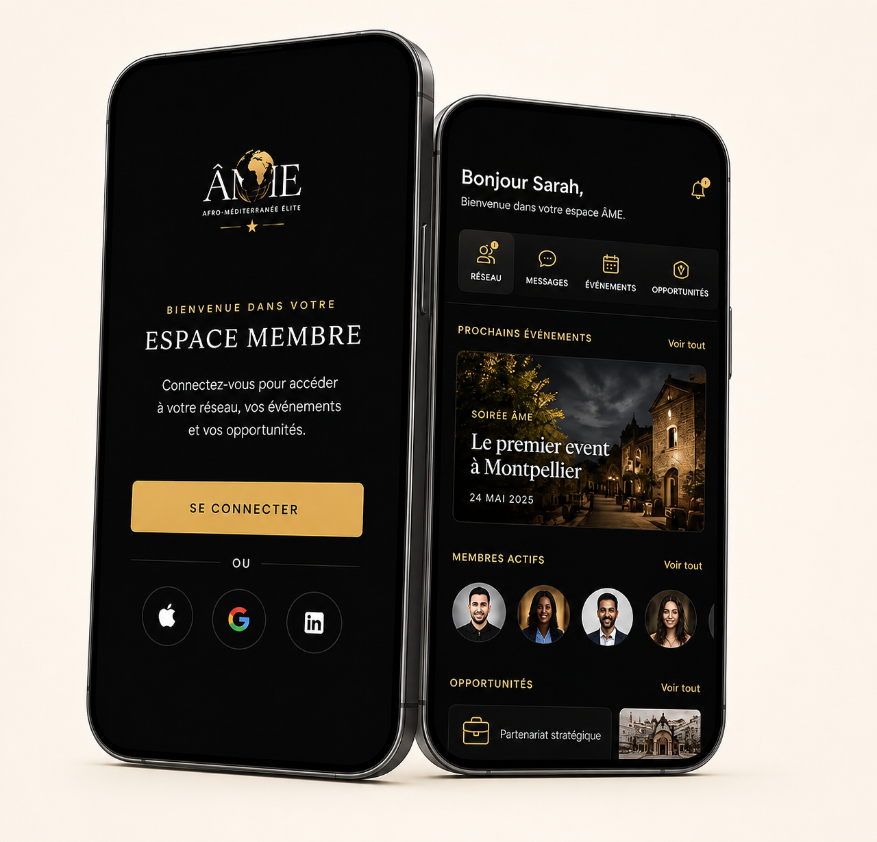 Aperçu de l'application AME